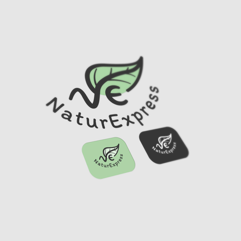 Logo et Déclinaisons